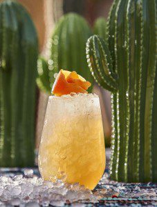 Paloma